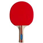 Pálka na stolný tenis BROTHER G1713 s 3 hviezdičkami