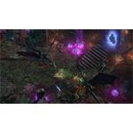 Pathfinder Kingmaker The Wildcards elektronická licence