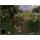 PC hra EXCLUSIVE Far Cry 