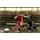 PC hra FIFA 06 Classic 