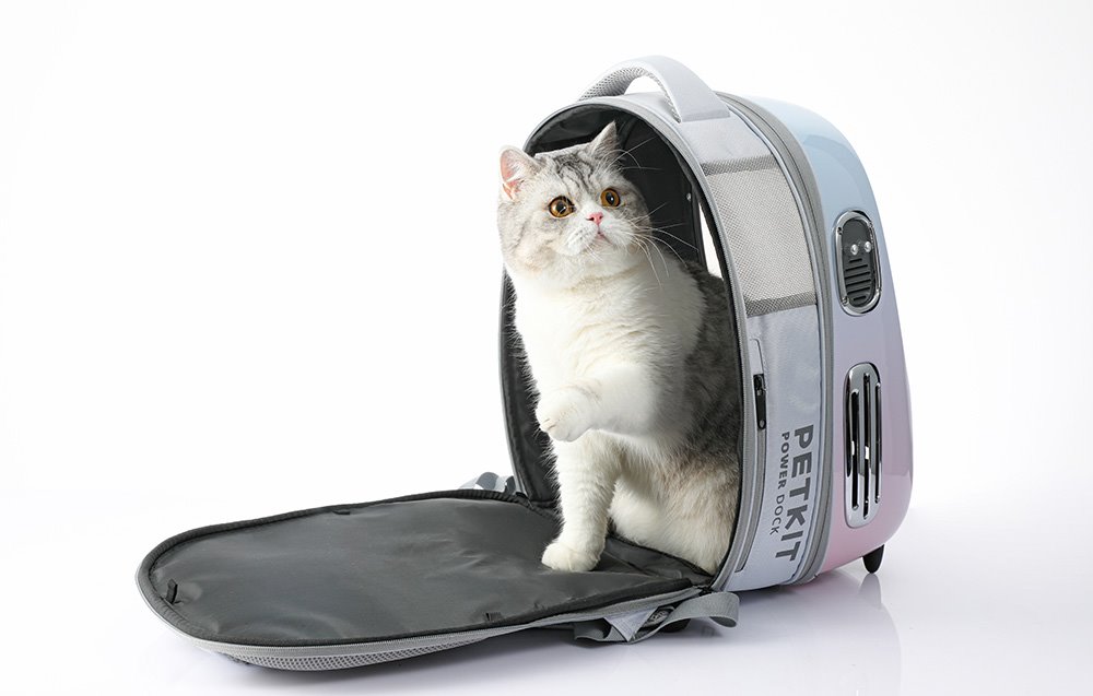 PetKit Breezy 2.0 Pet Travel Backpack (Pink)