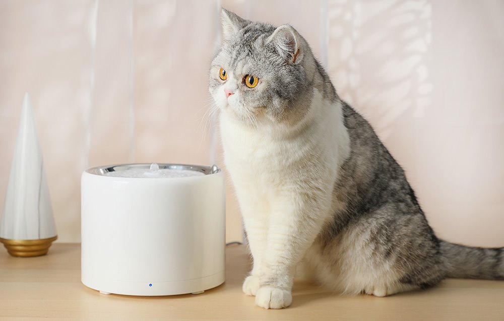 PetKit Eversweet SUS304 Bezdrátová fontána pro psy a kočky