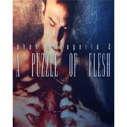 Phantasmagoria 2 A Puzzle of Flesh elektronická licence