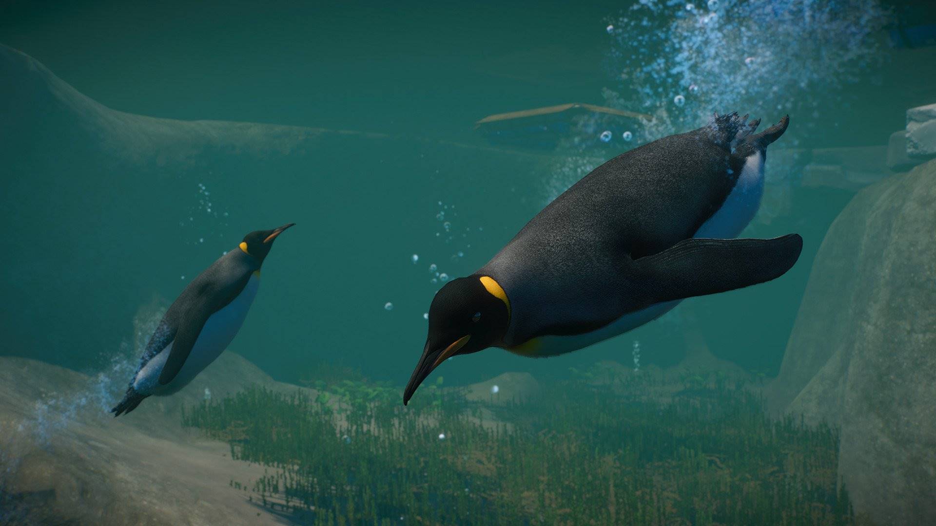 Planet Zoo Aquatic Pack elektronická licence