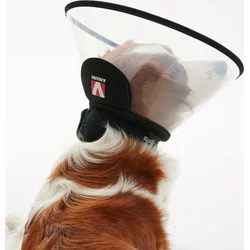 Plastový kompletný obojok Buster 20cm