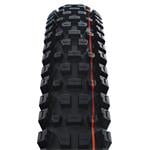 Pneumatika Schwalbe Albert 29x2,50 TRAIL PRO TLR AddixSoft radiálne skladanie