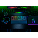 Razer Ornata V3, USA