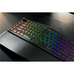 Razer Pro Type Ergo US
