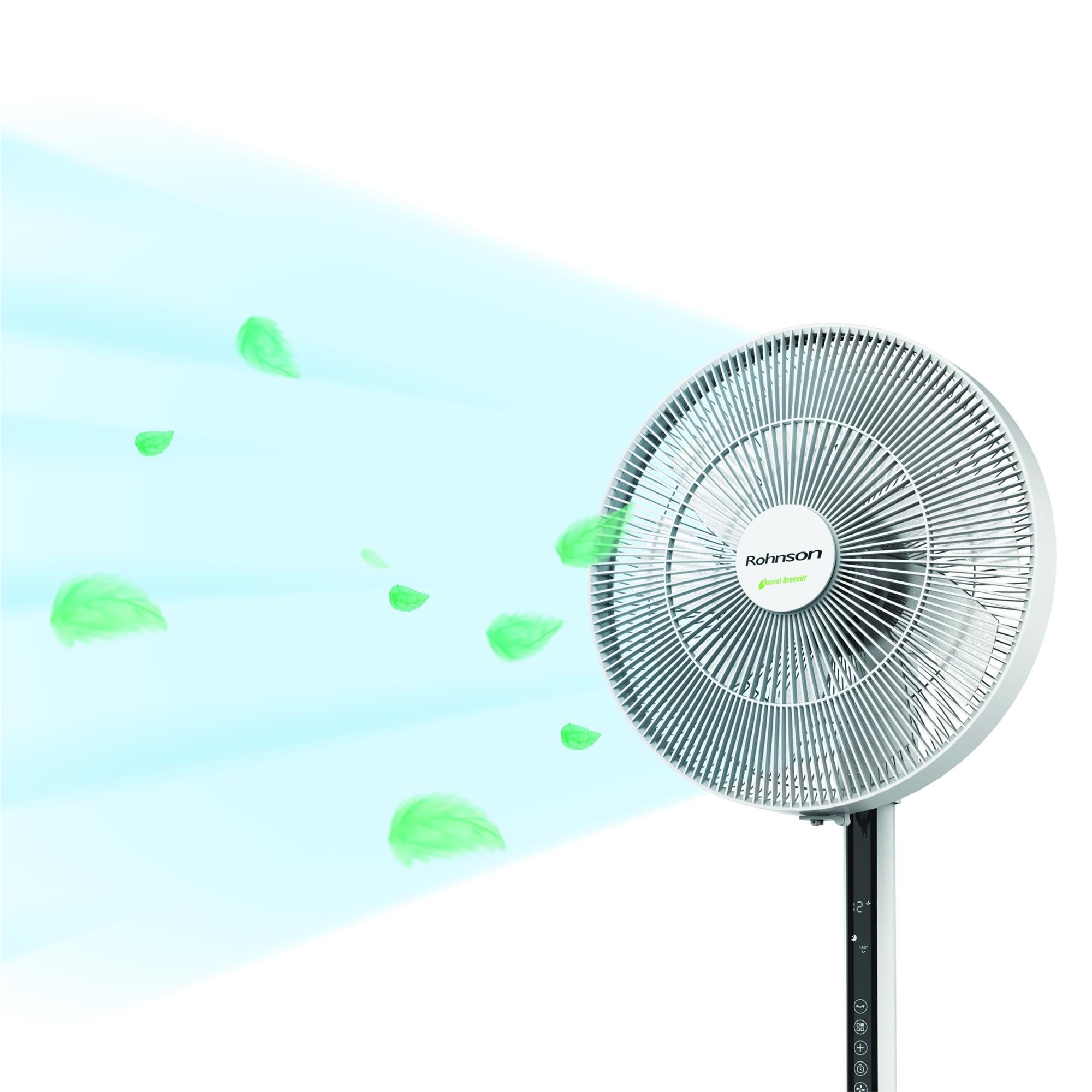 ROHNSON R-8650 Natural Breezer