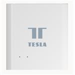 Rozbočovač TESLA Smart RJ45 ZigBee