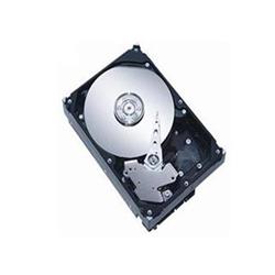 Seagate Constellation CS 1TB