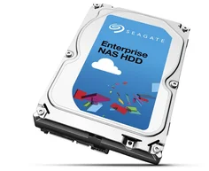 Seagate Enterprise NAS HDD 2TB