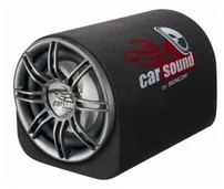 Sencor Aktivní subwoofer SCS WA1001, 10", RMS 100W, 40-3000Hz, nastavitelný filtr dolní propusti