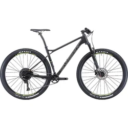 SILVERBACK Superspeed 2.0 - 20,5"/L - raw carbon/ spring lime/ gunmetal