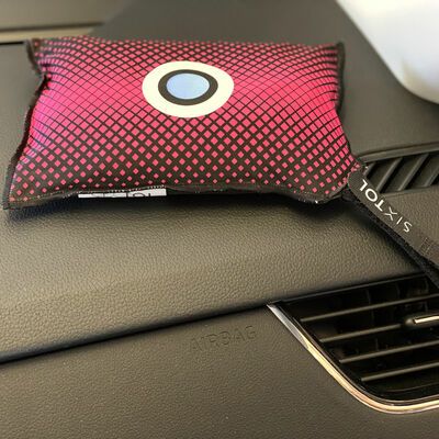 Sixtol Sada odvlhčovacích polštářků do auta DRY CAR 2 x 350g