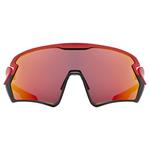 Sluneční brýle UVEX Sportstyle 231, red/black mat 