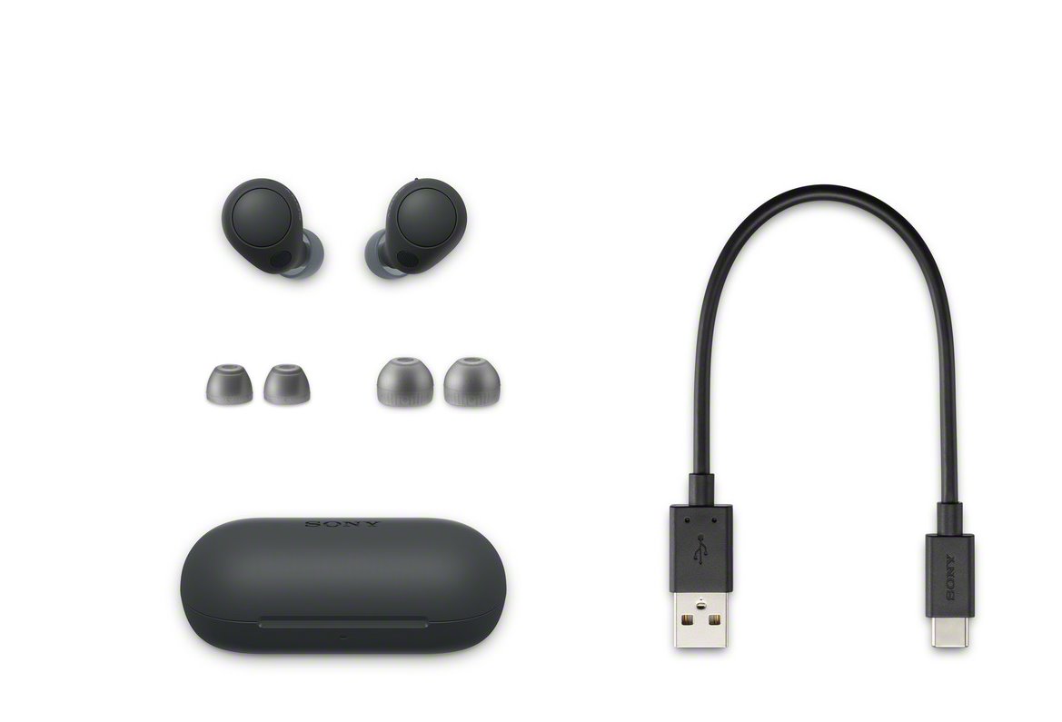 Sony True Wireless WF-C700N, černá