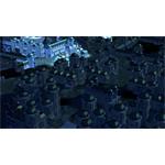 SpellForce 2 Demons of the Past
