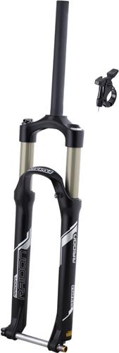 SR Suntour Raidon RL R 29" 100mm, TA15 - Ahead 1-1/8" - čierna