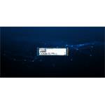 SSD disk Kingston DC2000B 960GB NVMe Enterprise
