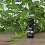 Stadler Form esenciální olej PEPPERMINT - 10 ml