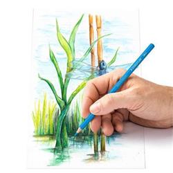 STAEDTLER Akvarelové pastelky "Design Journey", 24 různých barev, sada, šestihranné