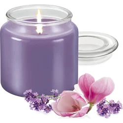 Tescoma Vonná svíčka FANCY HOME 410 g, Provence  