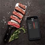 TESLA Cook BBQ150 - Smart teplotní sonda