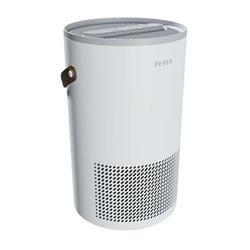 Tesla Smart Air Purifier S300W