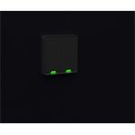 Tesla Smart Switch Dual