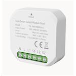Tesla Smart Switch Module Dual