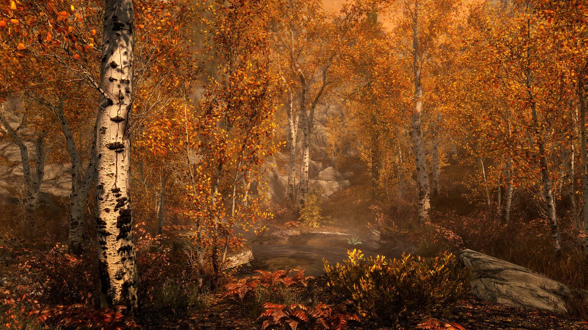 The Elder Scrolls V Skyrim Special Edition elektronická licencia