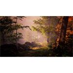 The Fabled Woods