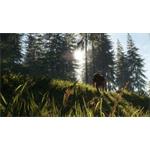 theHunter Call of the Wild Bloodhound