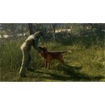 theHunter Call of the Wild Bloodhound