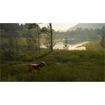 theHunter Call of the Wild Bloodhound
