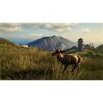 theHunter Call of the Wild Te Awaroa National Park
