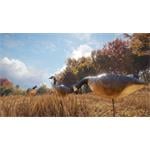 theHunter Call of the Wild Wild Goose Chase Gear