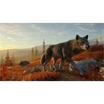 theHunter Call of the Wild Yukon Valley