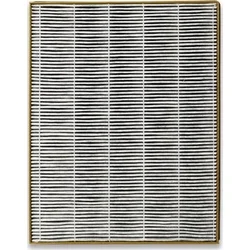 Toshiba filter do čističky vzduchu CAF-X50XPL CAF-H30(W)