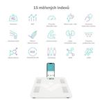TrueLife FitScale W4 BT