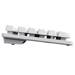 Trust GXT 831 Thado TKL, US, biela