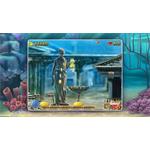 Turtle Odyssey