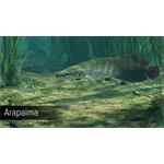 Ultimate Fishing Simulator Amazon River
