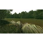 Ultimate Fishing Simulator Amazon River