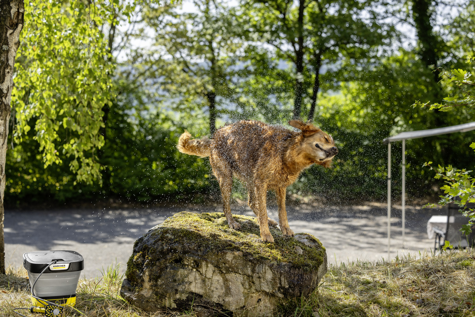 Umývacia kefa Kärcher PET