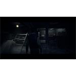 Until Dawn