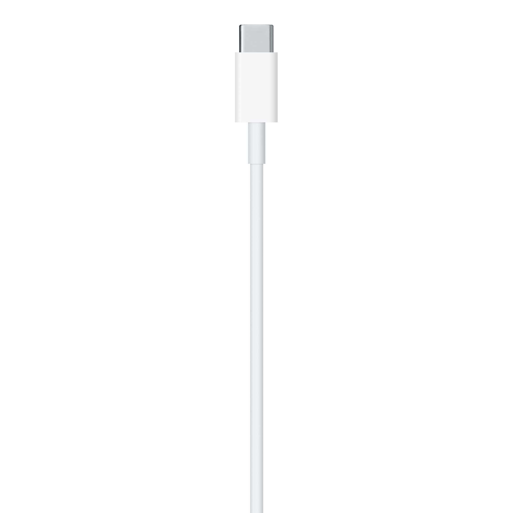 USB-C to Lightning Cable (2 m) / SK