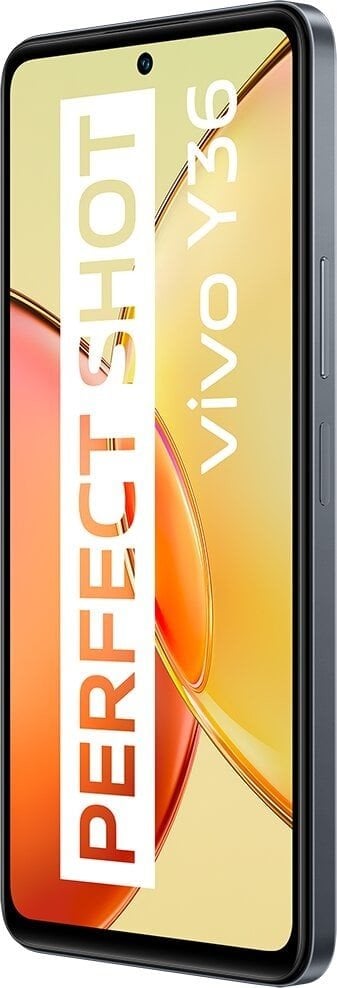 Vivo Y36 8GB/256GB, černý