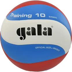 Volejbalový míč GALA Training 10 BV 5561 S